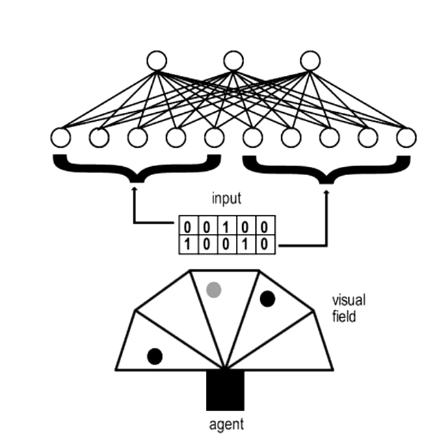 Cultural transmission between and within generations