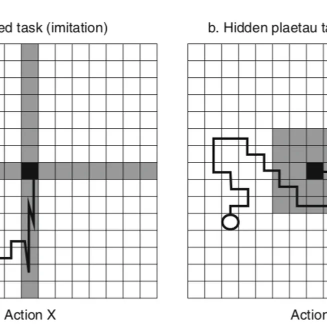Modeling imitation and emulation in constrained search spaces