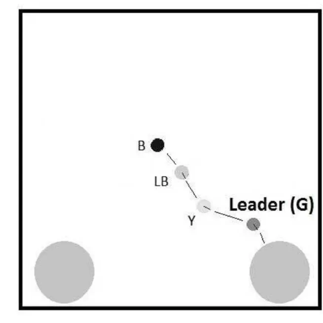 Emergence of Leadership in a Group of Autonomous Robots