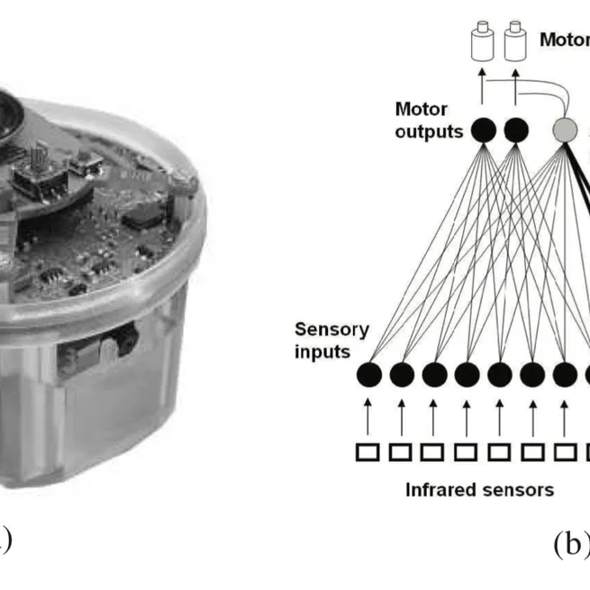 Trasmissione sociale di comportamenti in una popolazione di robot autonomi